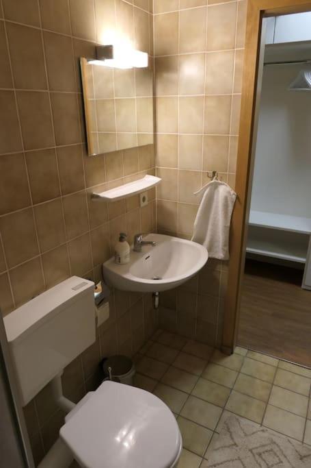 Modern Flat Near Grosser Arber Bayerisch Eisenstein Exterior photo